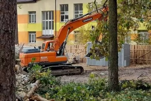 Для будівництва нової школи і дитсадка у Ворзелі можуть вирубати близько 300 дерев