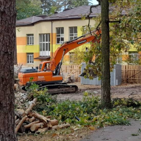 Для будівництва нової школи і дитсадка у Ворзелі можуть вирубати близько 300 дерев