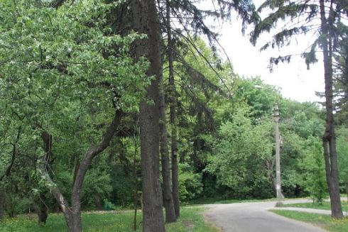 У парку “Нивки” за 7 млн гривень проведуть протизсувні роботи