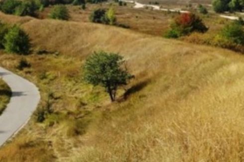 Змієві вали Київщини під загрозою знищення: городище IX століття руйнують заради будівництва котеджів