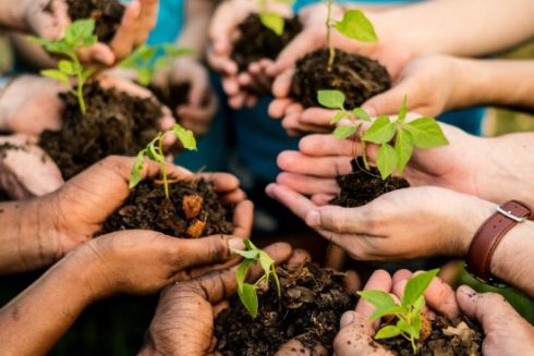 У Києві відкриють екопростір “Зелений Вал” для активістів і захисників довкілля