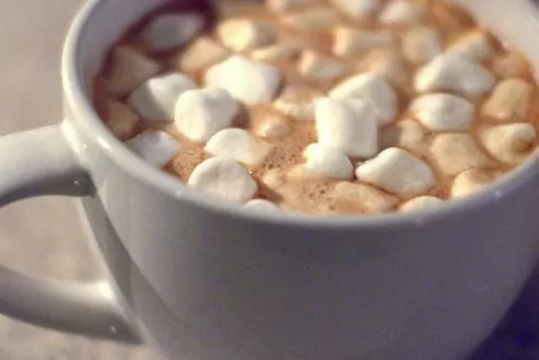 Українські сири і соуси, нова локація Atlas Weekend