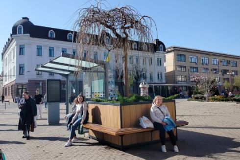 У центрі Вінниці встановлюють великі кашпо з деревами: фото