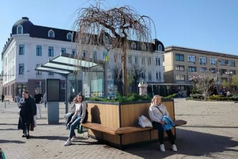 У центрі Вінниці встановлюють великі кашпо з деревами: фото