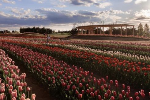 У “Добропарку” анонсували весняний сезон: яким він буде