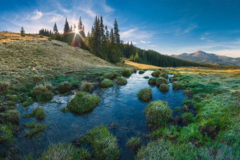 «Вікі любить Землю» – у липні пройде восьмий конкурс найкращих фотографій України