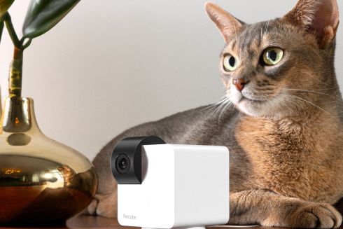 Вдохновились Малевичем: украинская компания Petcube выпустила новую камеру для животных