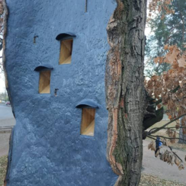 На Київщині вилікували 260-річний дуб і облаштували в ньому житло для птахів