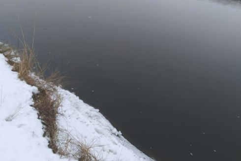 На Київщині створять ще один заказник