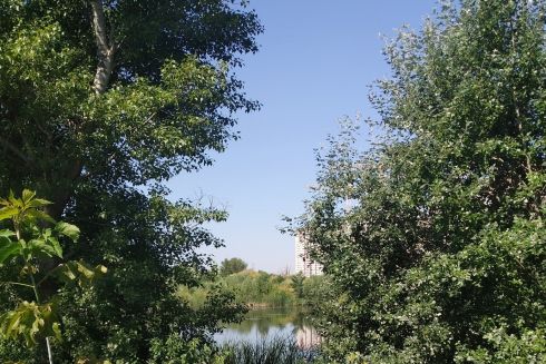 У Києві втричі збільшилися спроби забудови заповідників: що кажуть екологи