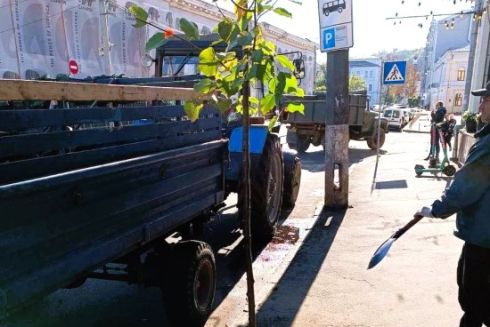 Недалеко от Контрактовой площади высадили липы: фото