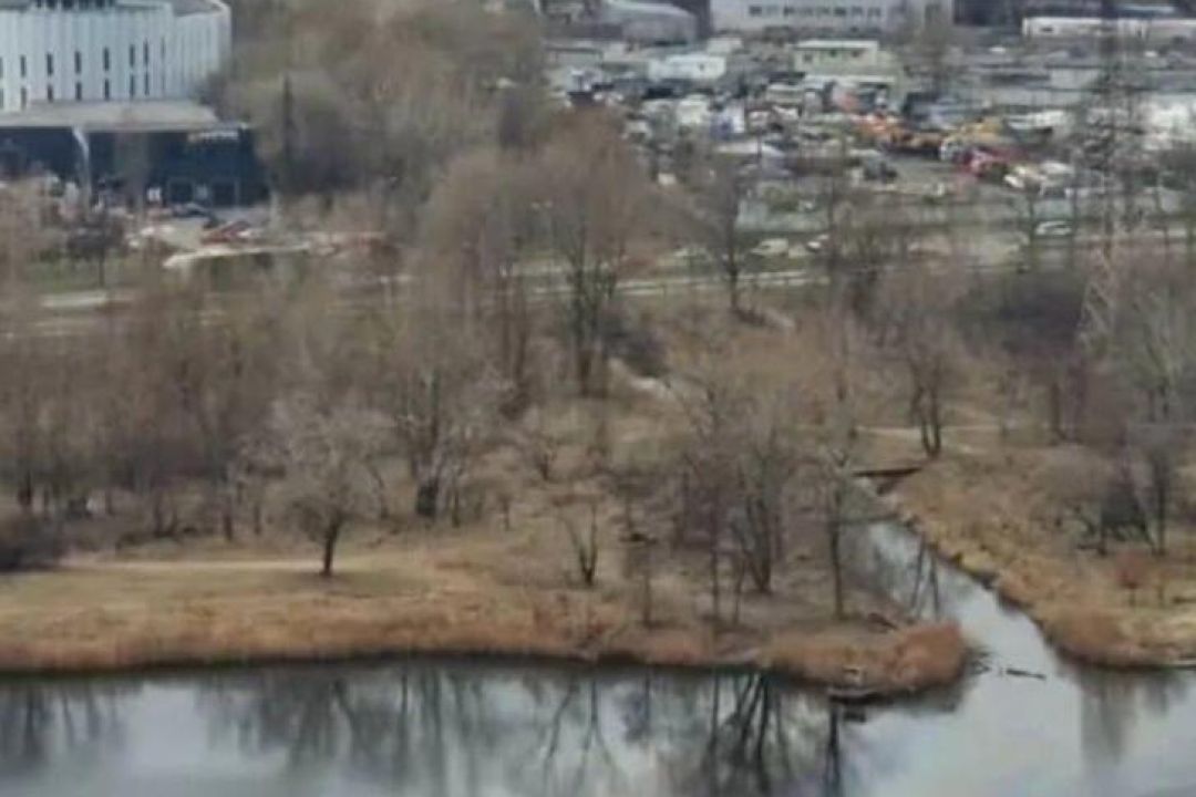 На Оболоні в озеро Кирилівське злили нафтопродукти: відкрито провадження