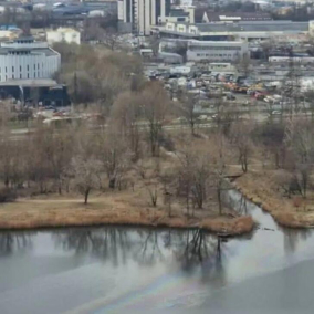 На Оболоні в озеро Кирилівське злили нафтопродукти: відкрито провадження
