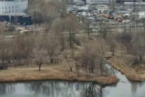 На Оболоні в озеро Кирилівське злили нафтопродукти: відкрито провадження