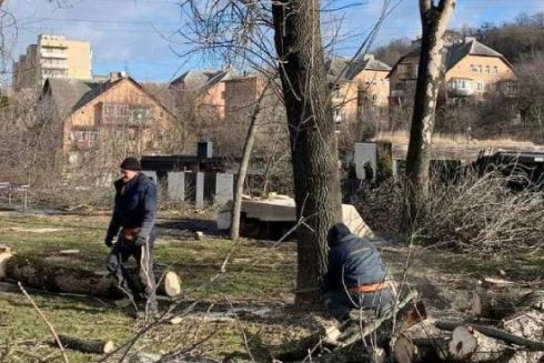 У Солом’янському ландшафтному парку масово вирубали дерева: причина