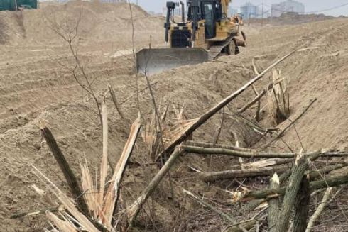 На території екопарку &ldquo;Осокорки&rdquo; забудовник почав знищувати ліс