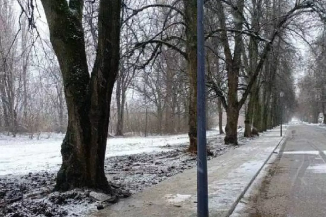 На ВДНГ оновили автомобільну та пішохідну ділянку дороги біля південного входу