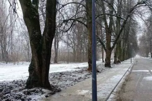 На ВДНГ оновили автомобільну та пішохідну ділянку дороги біля південного входу