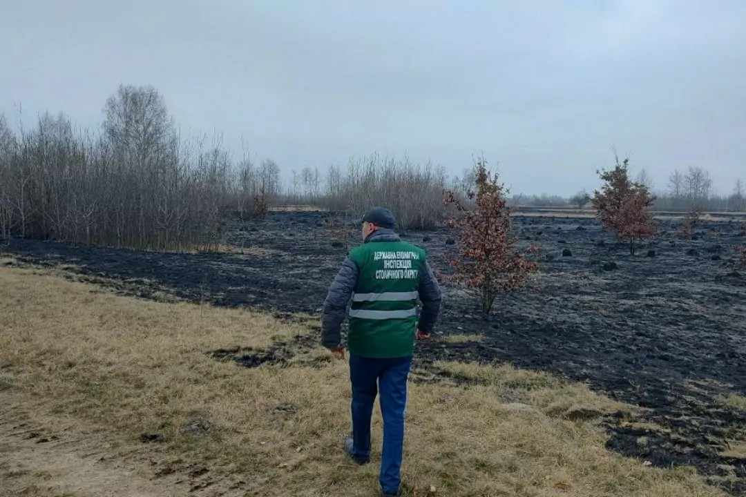 Пожежа на території екопарку "Осокорки" нанесла збитків півмільйона гривень