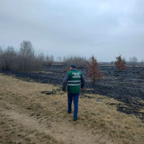 Пожежа на території екопарку "Осокорки" нанесла збитків півмільйона гривень
