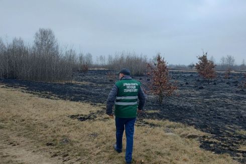 Пожежа на території екопарку "Осокорки" нанесла збитків півмільйона гривень
