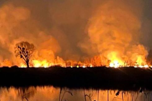 У Києві горів екопарк “Осокорки”: що відомо