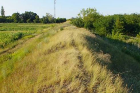 Київська облрада ухвалила створення восьми заповідних об'єктів