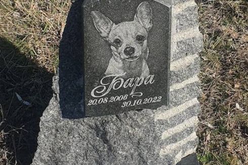 На Оболоні приберуть стихійне кладовище домашніх тварин