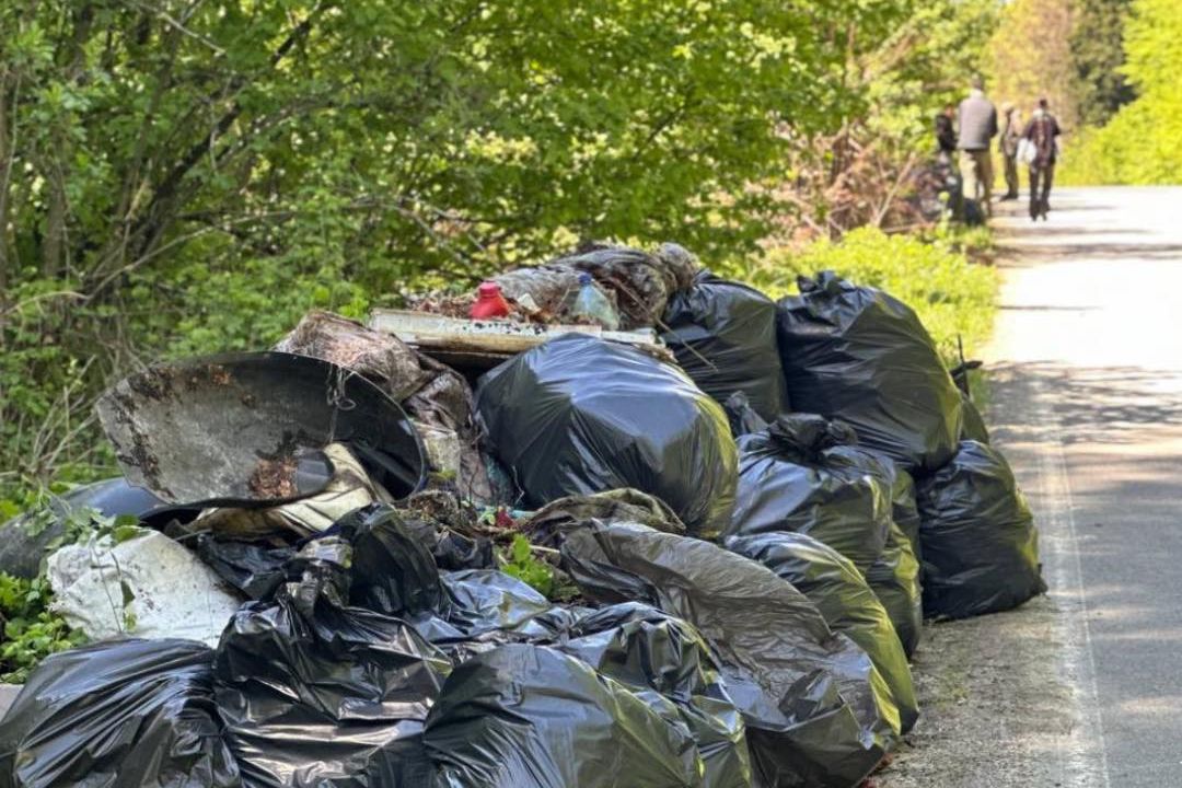 З Голосіївського парку вивезли 10 тонн сміття