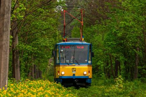 У Києві відновить роботу екскурсійний трамвай-кафе до Пущі-Водиці
