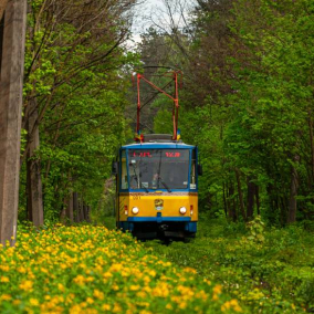 У Києві відновить роботу екскурсійний трамвай-кафе до Пущі-Водиці