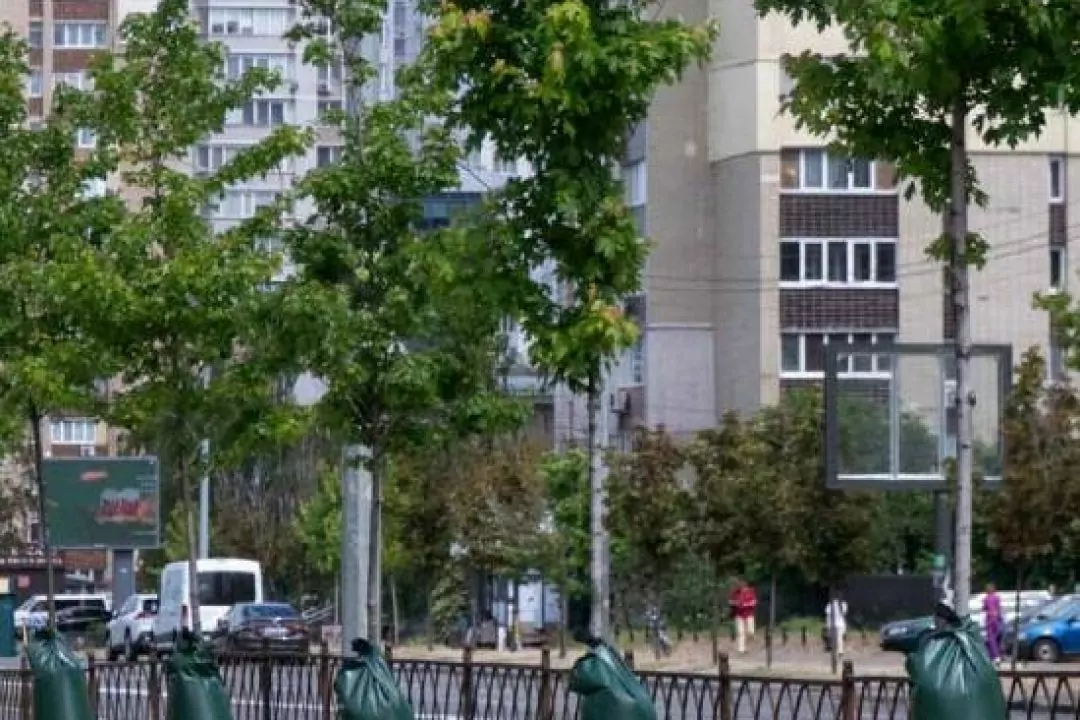У парках та скверах Києва почали встановлювати мішки для поливу дерев: як це працює