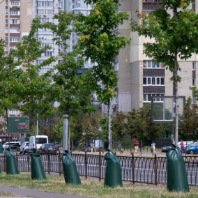 У парках та скверах Києва почали встановлювати мішки для поливу дерев: як це працює