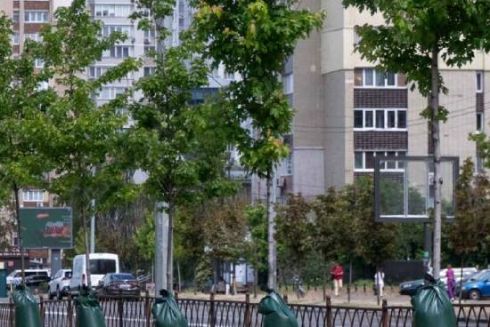У парках та скверах Києва почали встановлювати мішки для поливу дерев: як це працює