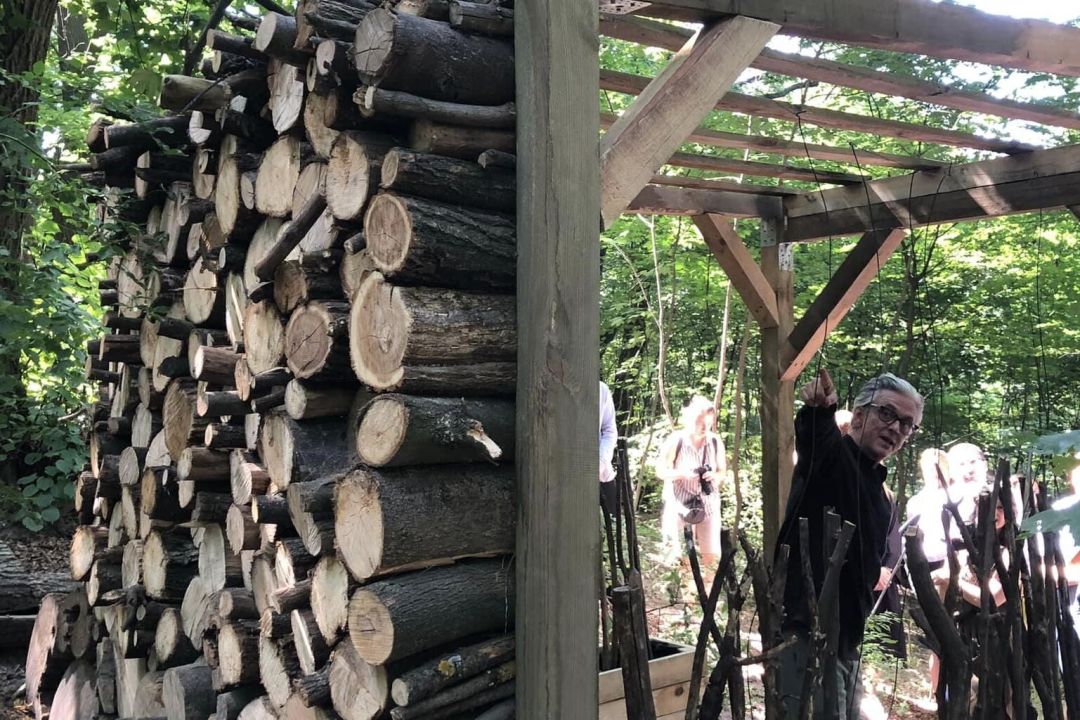 Дивіться, який вигляд має щойно відкритий терапевтичний сад на Подолі