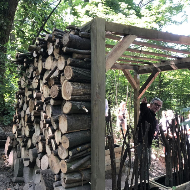 Дивіться, який вигляд має щойно відкритий терапевтичний сад на Подолі