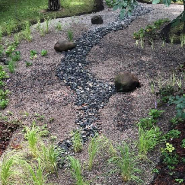 У Дарницькому районі Києва з’явився дощовий садок: як він виглядає