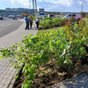 Біля зруйнованого мосту в Романівці встановили лавочки і висадили кущі: фото