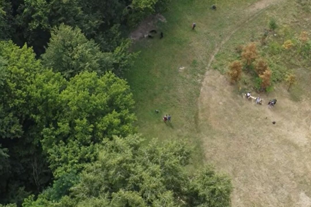 Київрада підтримала рішення про створення та захист заказника "Протасів Яр"