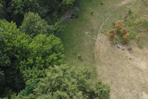 Київрада підтримала рішення про створення та захист заказника "Протасів Яр"