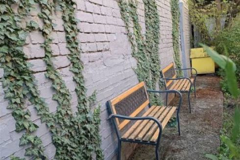 На Подолі орендар будівлі зрізав плющ, висаджений мешканцями будинку, які самотужки привели до ладу двір