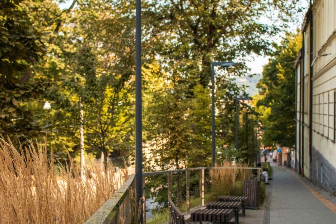 У Львові показали, як змінилася алея у центрі міста після реконструкції: фото