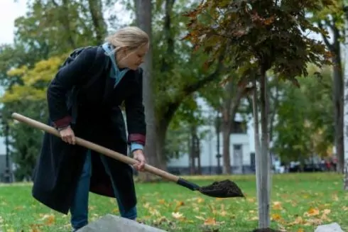 У Маріїнському парку висадили клени в пам&rsquo;ять про загиблих воїнів-музикантів