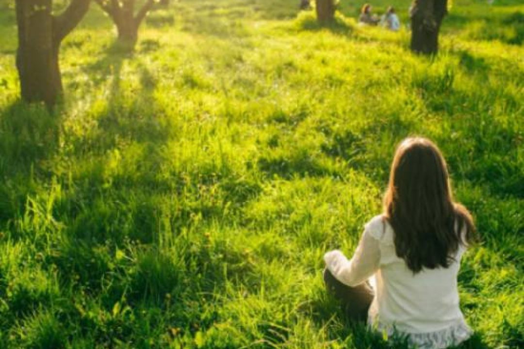 На ВДНГ хочуть облаштувати терапевтичні сади