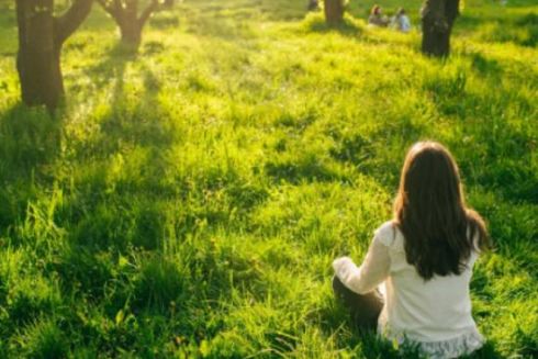 На ВДНГ хочуть облаштувати терапевтичні сади