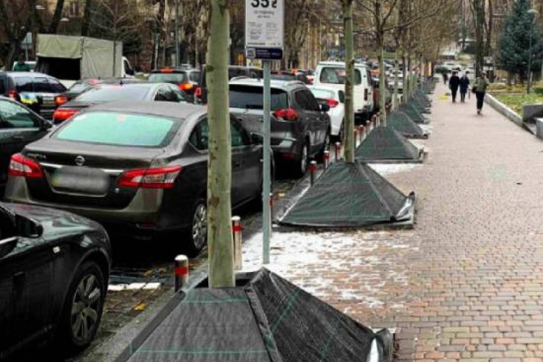 У Києві зелені насадження захищатимуть від солі та протиожеледних реагентів: як саме