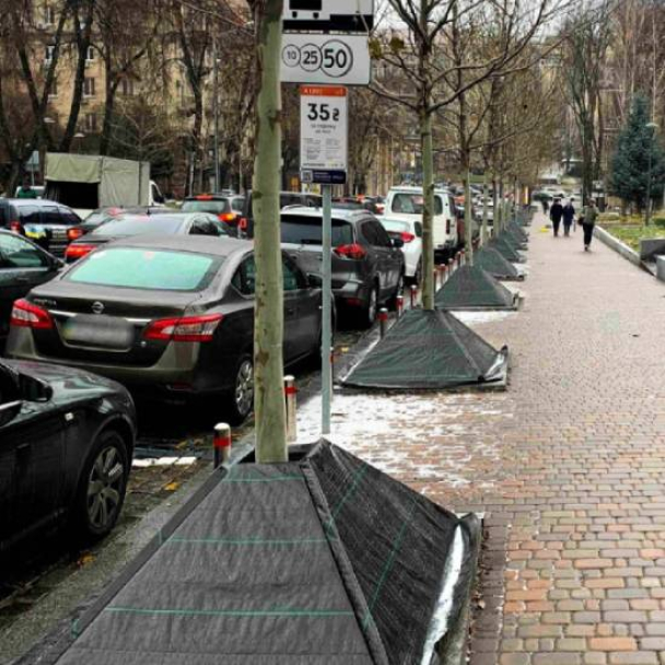 У Києві зелені насадження захищатимуть від солі та протиожеледних реагентів: як саме