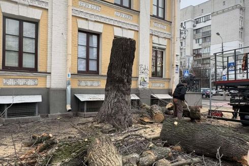 На Подолі знову масово зрізають дерева, замість їх лікування