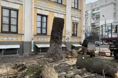 На Подолі знову масово зрізають дерева, замість їх лікування