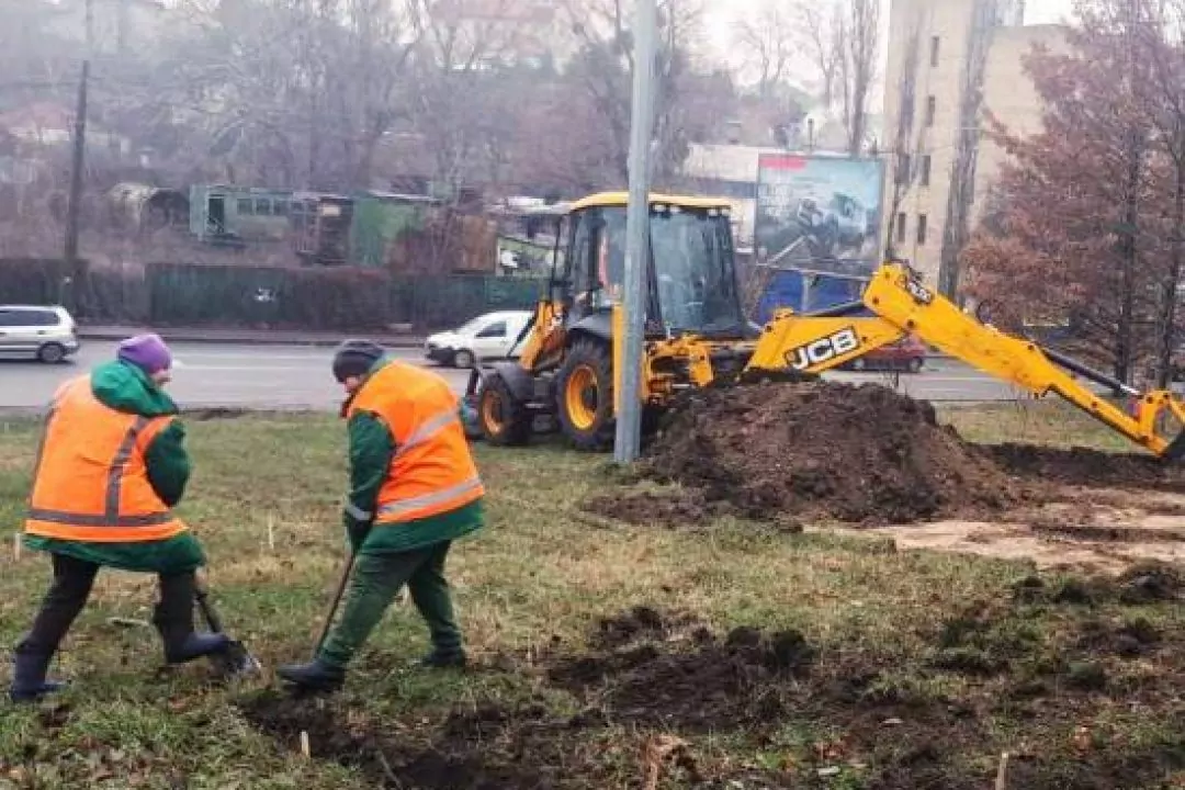 У Голосіївському районі висадять понад 1000 м&sup2; барвистих лук